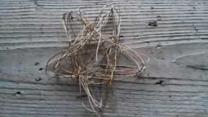 stjørnan tráður 5