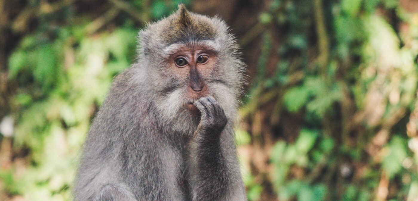 Podcast vakurleiki familja