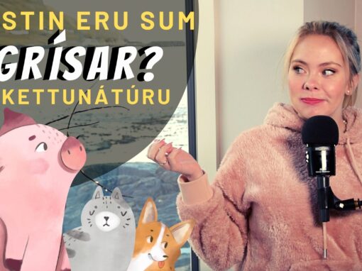 Kristin eru sum grísar við kettunátúru?︱ Filipbr. pt. 18