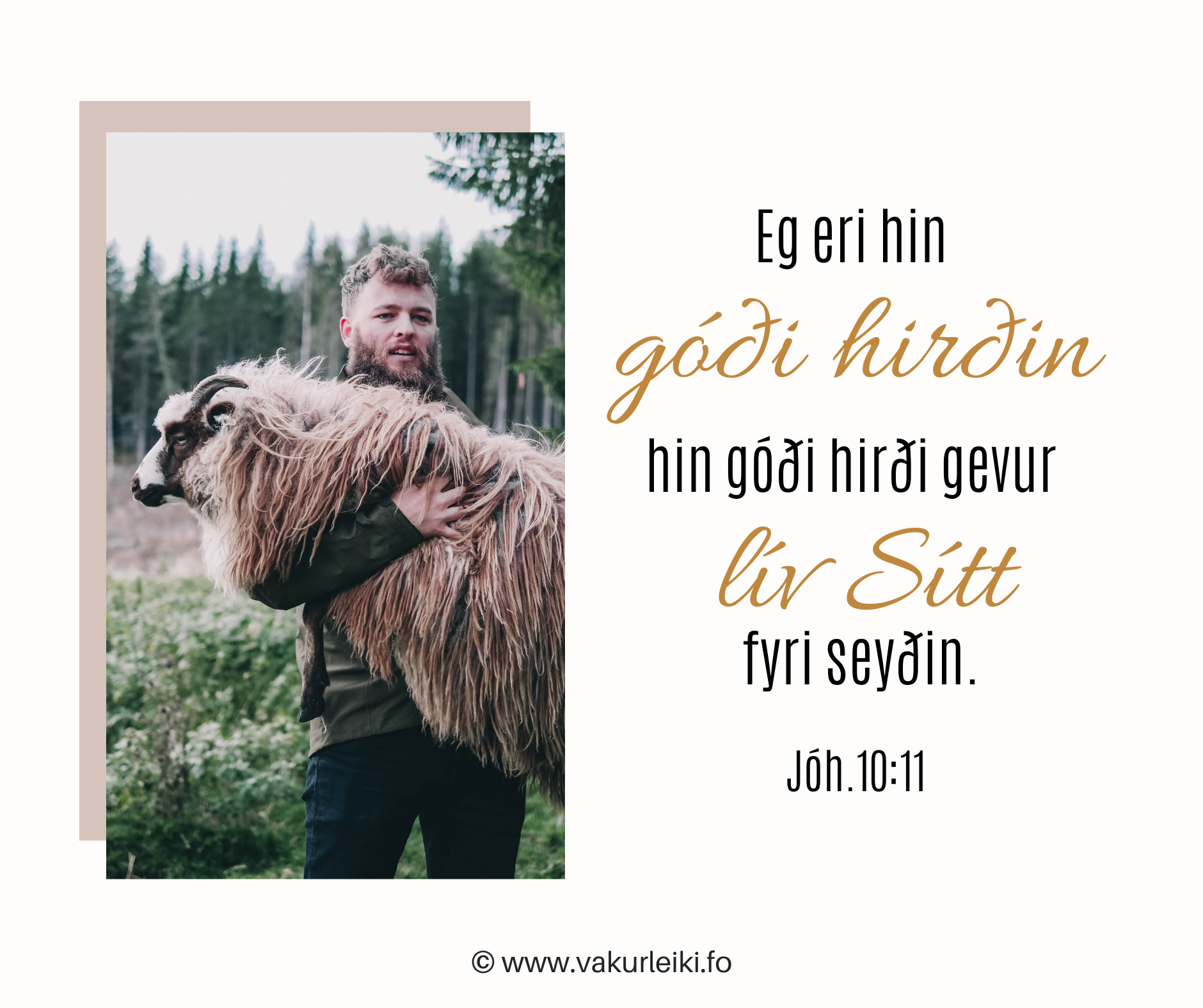 Hin góði Hirðin
