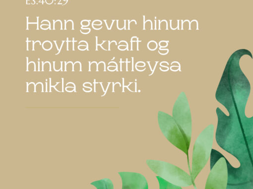 Hann gevur hinum troytta kraft…
