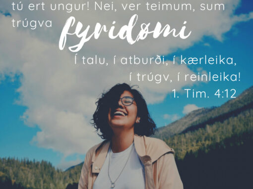 At vera eitt fyridømi – 1.Tim.4:12