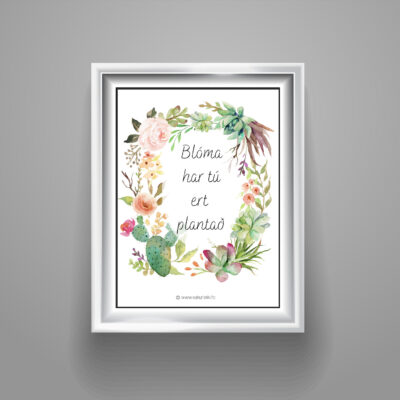 Blóma har tú ert plantað