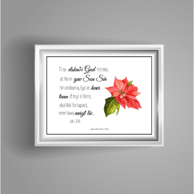 TÍ SO ELSKAÐI GUD - Jóh.3:16