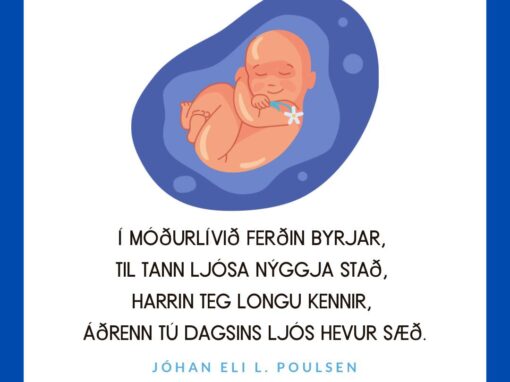 Í móðurlívið ferðin byrjar,