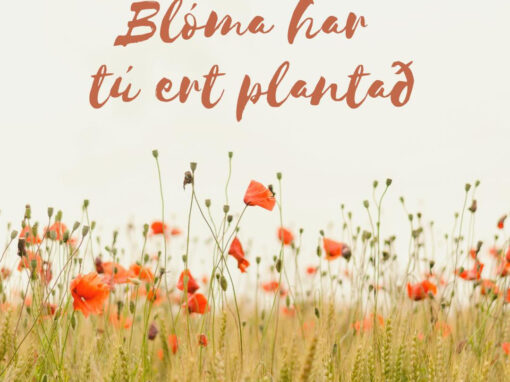 Blóma har tú ert plantað…