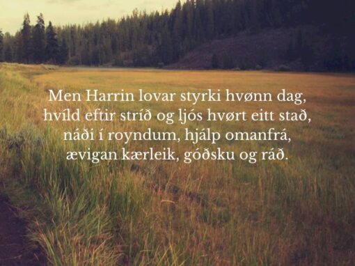 Harrin ei lovar…